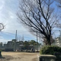 実際訪問したユーザーが直接撮影して投稿した大淀南公園浦江公園の写真