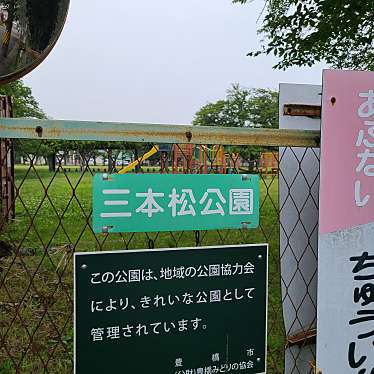 実際訪問したユーザーが直接撮影して投稿した東森岡公園三本松公園の写真