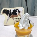 実際訪問したユーザーが直接撮影して投稿した池辺町カフェマザー牧場 CAFE & SOFTCREAM ららぽーと 横浜店の写真