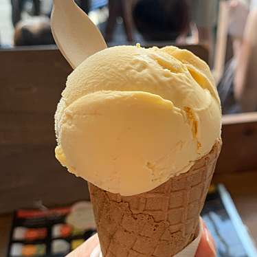 実際訪問したユーザーが直接撮影して投稿した鵠沼海岸スイーツHilo Homemade Ice Creamの写真