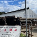 実際訪問したユーザーが直接撮影して投稿した市島町勅使定食屋高見牛牧場直売所 安食の郷の写真