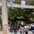 実際訪問したユーザーが直接撮影して投稿した宰府神社太宰府天満宮の写真