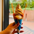 ブルーシールサンデー - 実際訪問したユーザーが直接撮影して投稿した恵比寿アイスクリームブルーシール 恵比寿ガーデンプレイス店の写真のメニュー情報