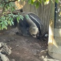 実際訪問したユーザーが直接撮影して投稿した北葛西動物園江戸川区自然動物園の写真