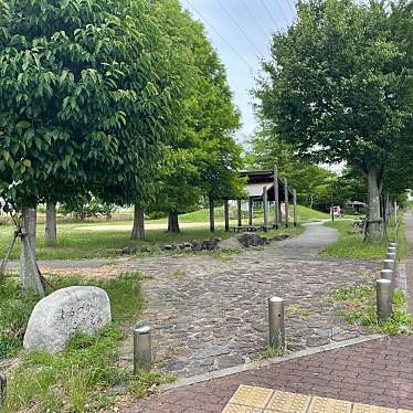 実際訪問したユーザーが直接撮影して投稿した公園丸塚公園の写真