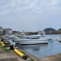 実際訪問したユーザーが直接撮影して投稿した港 / 灯台深堀漁港の写真