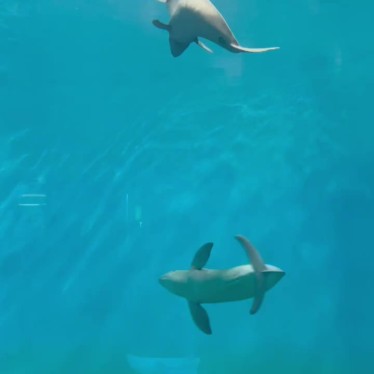 市立しものせき水族館 海響館のundefinedに実際訪問訪問したユーザーunknownさんが新しく投稿した新着口コミの写真