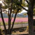 実際訪問したユーザーが直接撮影して投稿した猪熊公園みどりんぱぁーくの写真