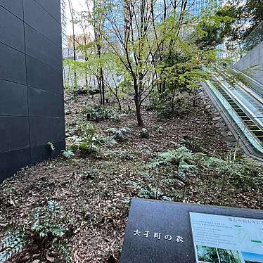 実際訪問したユーザーが直接撮影して投稿した大手町公園大手町の森の写真