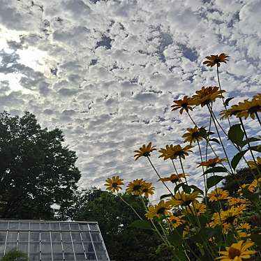 東京都薬用植物園のundefinedに実際訪問訪問したユーザーunknownさんが新しく投稿した新着口コミの写真