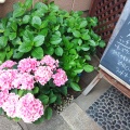 実際訪問したユーザーが直接撮影して投稿した浅間町カフェMidsummer Cafe 夏至茶屋の写真