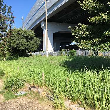 ぶどううり・くすこさんが投稿した南城内公園のお店南城内緑地/ミナミジョウナイリョクチの写真