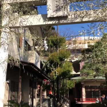 実際訪問したユーザーが直接撮影して投稿した青戸神社青砥神社の写真