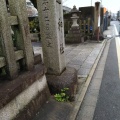 実際訪問したユーザーが直接撮影して投稿した聖護院円頓美町神社須賀神社の写真