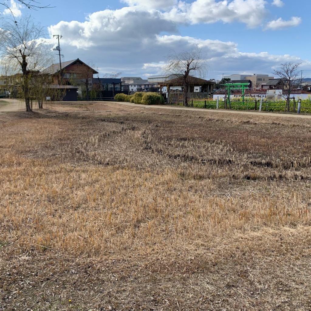 実際訪問したユーザーが直接撮影して投稿した玉島湖沼 / 池とんぼ池1の写真