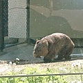 実際訪問したユーザーが直接撮影して投稿した綾羽動物園五月山動物園の写真