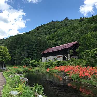 実際訪問したユーザーが直接撮影して投稿した左通庭園ミニ尾瀬公園 ロックガーデンの写真