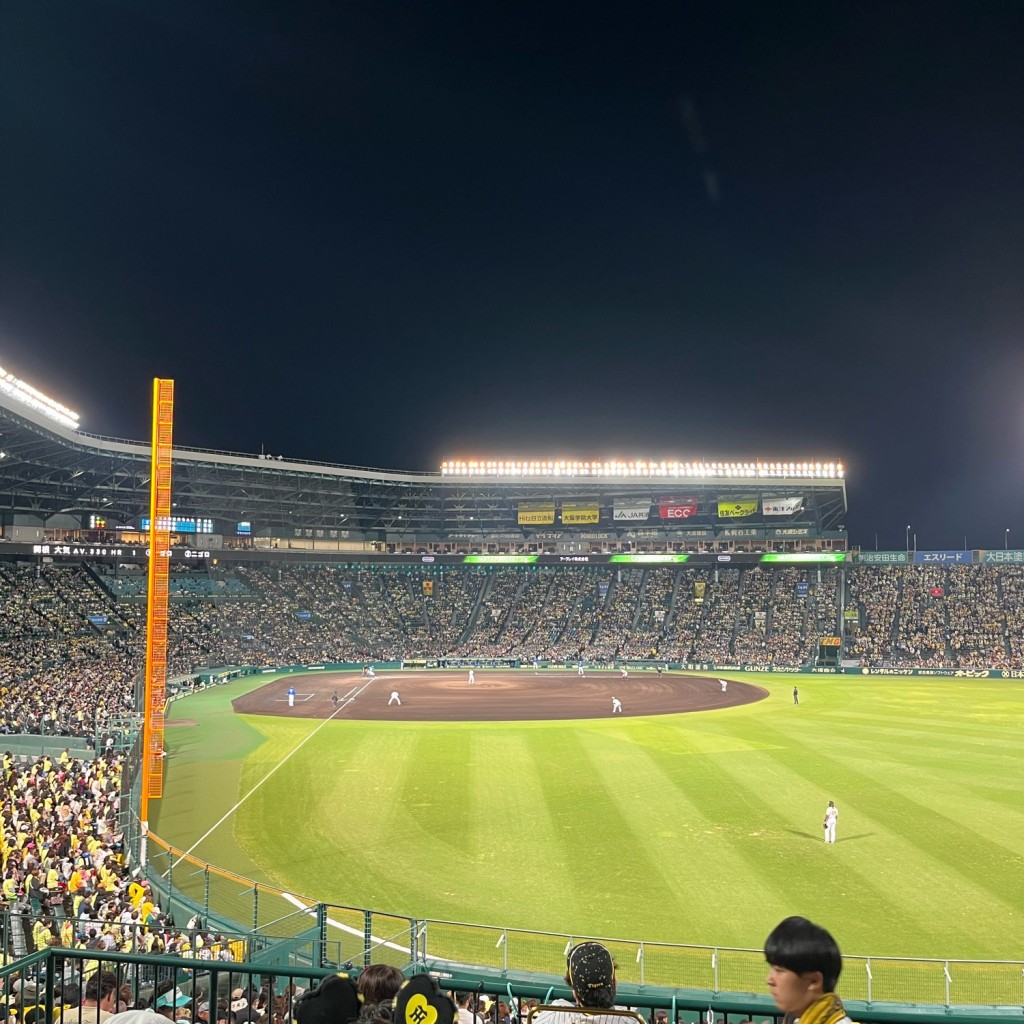 実際訪問したユーザーが直接撮影して投稿した甲子園町焼きそば甲子園焼きそばの写真