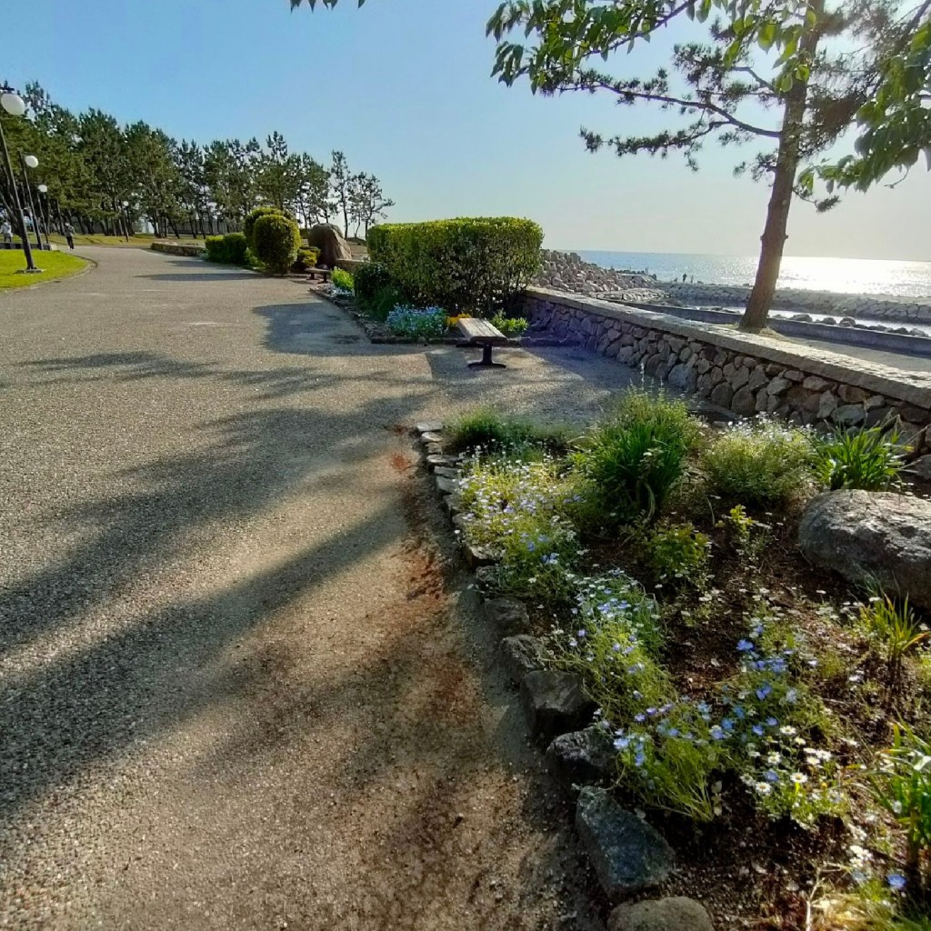 実際訪問したユーザーが直接撮影して投稿したりんくう往来南庭園りんくう公園 花海道の写真