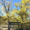 実際訪問したユーザーが直接撮影して投稿した塩江町安原上神社岩部八幡神社の写真
