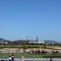 実際訪問したユーザーが直接撮影して投稿した駒の町競馬場阪神競馬場の写真