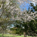 実際訪問したユーザーが直接撮影して投稿した東光町公園泉の沼公園の写真