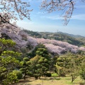 実際訪問したユーザーが直接撮影して投稿した福田町福田公園種松山公園西園地の写真