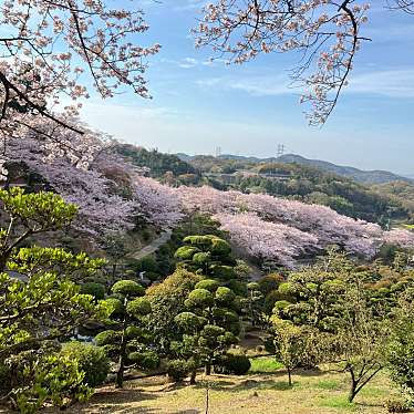 種松山公園西園地のundefinedに実際訪問訪問したユーザーunknownさんが新しく投稿した新着口コミの写真