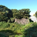 実際訪問したユーザーが直接撮影して投稿した三の丸公園清水橋街園の写真