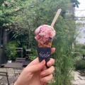 実際訪問したユーザーが直接撮影して投稿した代々木アイスクリームHarlow ice cream TOKYOの写真