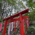 実際訪問したユーザーが直接撮影して投稿した宰府神社天開稲荷社の写真