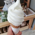 実際訪問したユーザーが直接撮影して投稿した下吉沢アイスクリームジェラテリアベガの写真