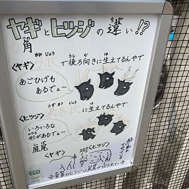 天王寺動物園のundefinedに実際訪問訪問したユーザーunknownさんが新しく投稿した新着口コミの写真