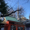 実際訪問したユーザーが直接撮影して投稿した業平神社榎戸稲荷神社の写真