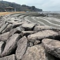 実際訪問したユーザーが直接撮影して投稿した住吉町公園住吉海岸公園の写真