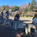 実際訪問したユーザーが直接撮影して投稿した堀工町寺茂林寺の写真