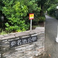 実際訪問したユーザーが直接撮影して投稿した菊名公園菊名池公園の写真