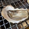 豊前海一粒牡蠣 - 実際訪問したユーザーが直接撮影して投稿した曽根新田南魚介 / 海鮮料理はちがめの写真のメニュー情報