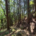 実際訪問したユーザーが直接撮影して投稿した木本町山 / 峠松本峠の写真