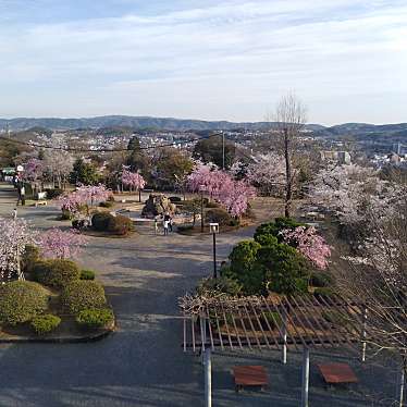 虎渓公園のundefinedに実際訪問訪問したユーザーunknownさんが新しく投稿した新着口コミの写真