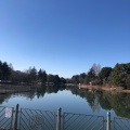 実際訪問したユーザーが直接撮影して投稿した柏の葉公園柏の葉第1水辺公園の写真