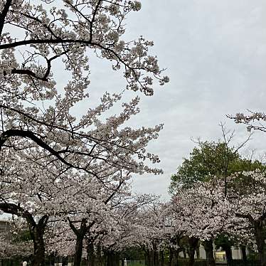 宝野公園のundefinedに実際訪問訪問したユーザーunknownさんが新しく投稿した新着口コミの写真