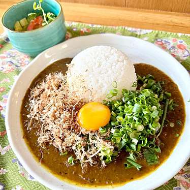 実際訪問したユーザーが直接撮影して投稿した槇島町カレー手作りカレーの店 朱(レッド)の写真