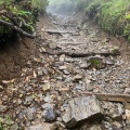 実際訪問したユーザーが直接撮影して投稿した大迫町大迫山 / 峠早池峰山の写真