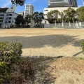 実際訪問したユーザーが直接撮影して投稿した福島公園上福島北公園の写真