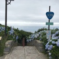 実際訪問したユーザーが直接撮影して投稿した三厩龍浜散策路階段国道339号の写真