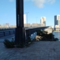 実際訪問したユーザーが直接撮影して投稿した豊洲橋豊洲大橋の写真
