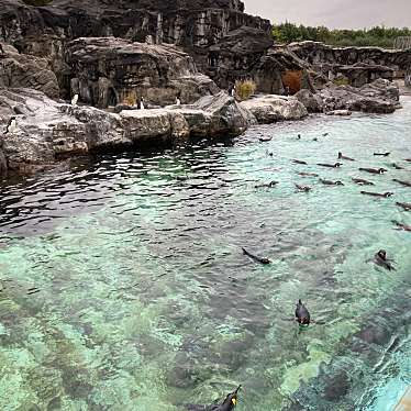 葛西臨海水族園のundefinedに実際訪問訪問したユーザーunknownさんが新しく投稿した新着口コミの写真