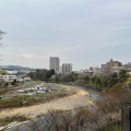 実際訪問したユーザーが直接撮影して投稿した桜ケ岡公園河川広瀬川の写真