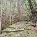 実際訪問したユーザーが直接撮影して投稿した木本町山 / 峠松本峠の写真